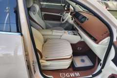 2025 Ora Good Cat 2024 401km Luxury #8