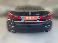 2019 BMW 5 Series 2019 2.0T AT 530LiExclusiveMSport Pkg #8