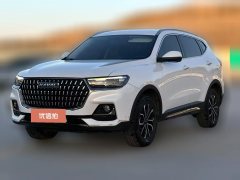 2023 Haval H6 2023 China tideEdition 1.5T AT Champion #1