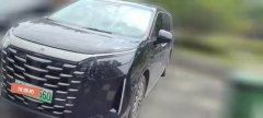 2026 BYD Xia 2026 DM-i 1.5T 218KM Surpass #1