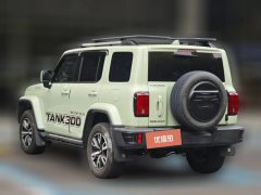 2022 Tank 300 2021 CityEdition 2.0T AT Very #2
