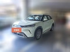 2025 BYD Yuan UP 2025 301KM Pilot #1