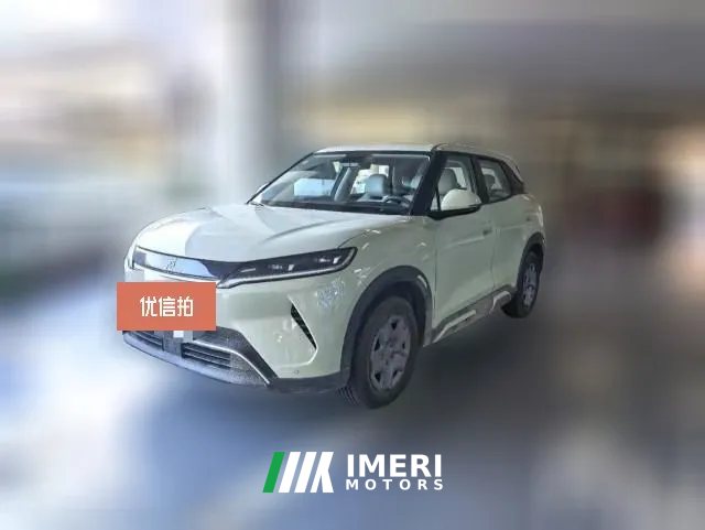 2025 BYD Yuan UP 2025 301KM Pilot
