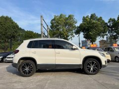 2015 Volkswagen Tiguan 2015 1.8T AT Luxury FWD #28