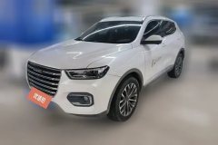 2019 Haval H6 2020 1.5T AT PlatinumChampion #1