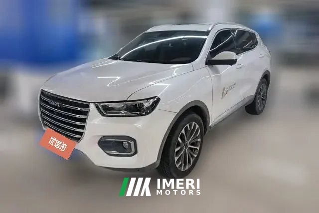2019 Haval H6 2020 1.5T AT PlatinumChampion