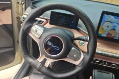 2025 BYD Seagull 2025 305km vitalityEdition #15