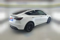 2021 Tesla Model Y 2021StandardBattery lifeRWDEdition #3