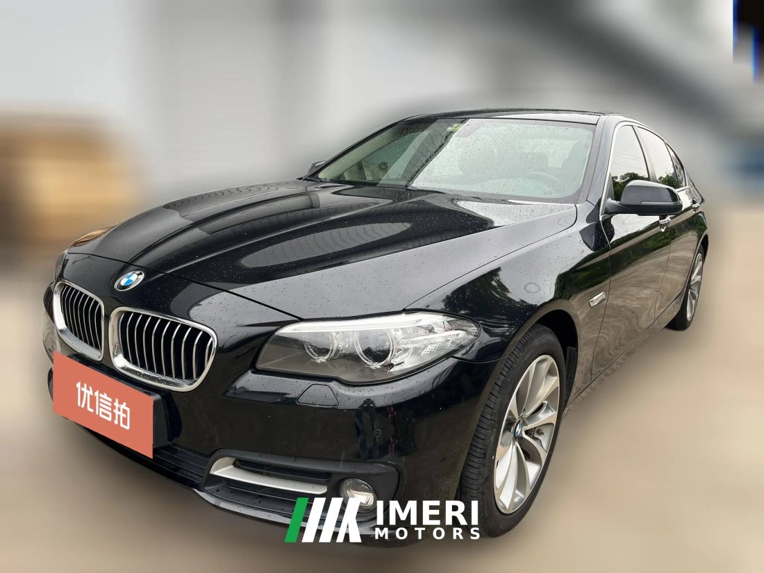 2016 BMW 5 Series 2017 2.0T AT 528LiLeading