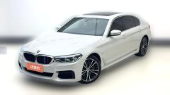 2020 BMW 5 Series 2020 2.0T AT 530LiLeadingMSport Pkg #3