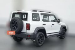 2022 Tank 300 2021 Off-road 2.0TAT conqueror #2