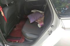2025 Volkswagen Lavida 2026 300TSI DSG Starlight Edition #11