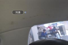 Roof Lining