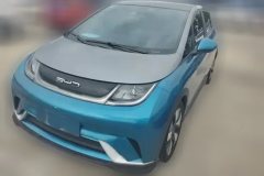 2022 BYD Dolphin 2021 401km knightEdition #1