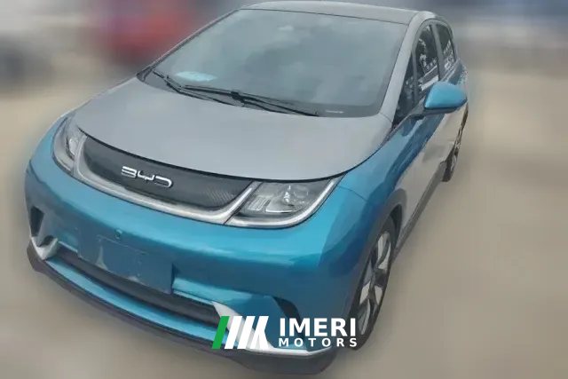 2022 BYD Dolphin 2021 401km knightEdition