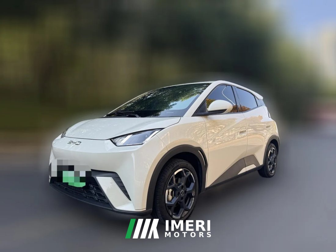 2024 BYD Seagull 2024 Glory 305KM freeEdition