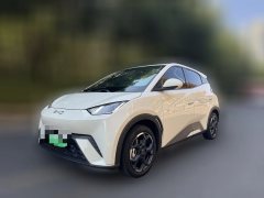 2024 BYD Seagull 2024 Glory 305KM freeEdition #1