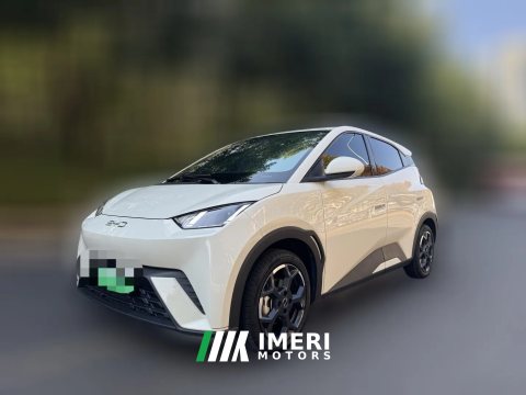 2024 BYD Seagull 2024 Glory 305KM freeEdition