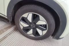 2026 BYD Dolphin 2025 Smart Drive 420km freeEdition #6