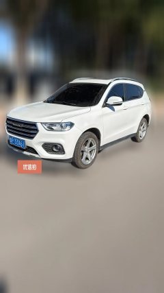 2019 Haval H2 2018 1.5T MT Create and enjoyEditionBlue LabelFashion #1