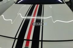Engine Hood
