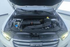 2019 Haval H6 2020 1.5T AT PlatinumChampion #10