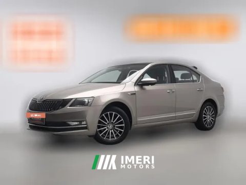 2018 Škoda Octavia 2019 1.2T AT TSI230Luxury