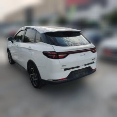 2024 Neta AYA 2023 401 Lite #2