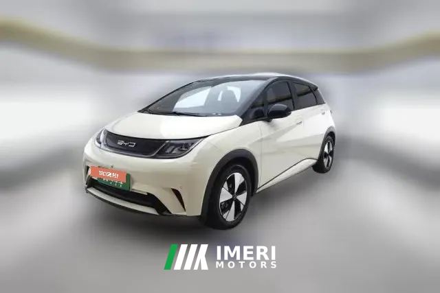2023 BYD Dolphin 2023 420km Fashion