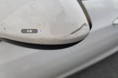 Left Exterior Mirror