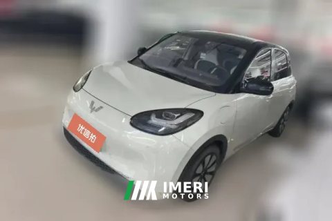 2023 Wuling Motors Wuling Bingo 2023 333KM Joy