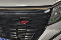 Intake Grille