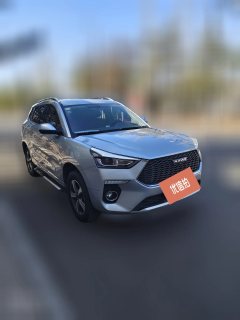 2019 Haval H6 Coupe 2018 1.5T AT Blue LabelLuxury FWD #3
