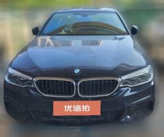 2020 BMW 5 Series(Imported) 2020 2.0T AT 525i MSport Pkg (Imported) #2