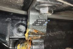 Right Rear Door