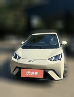 2023 BYD Seagull 2024 Glory 305km vitalityEdition #4