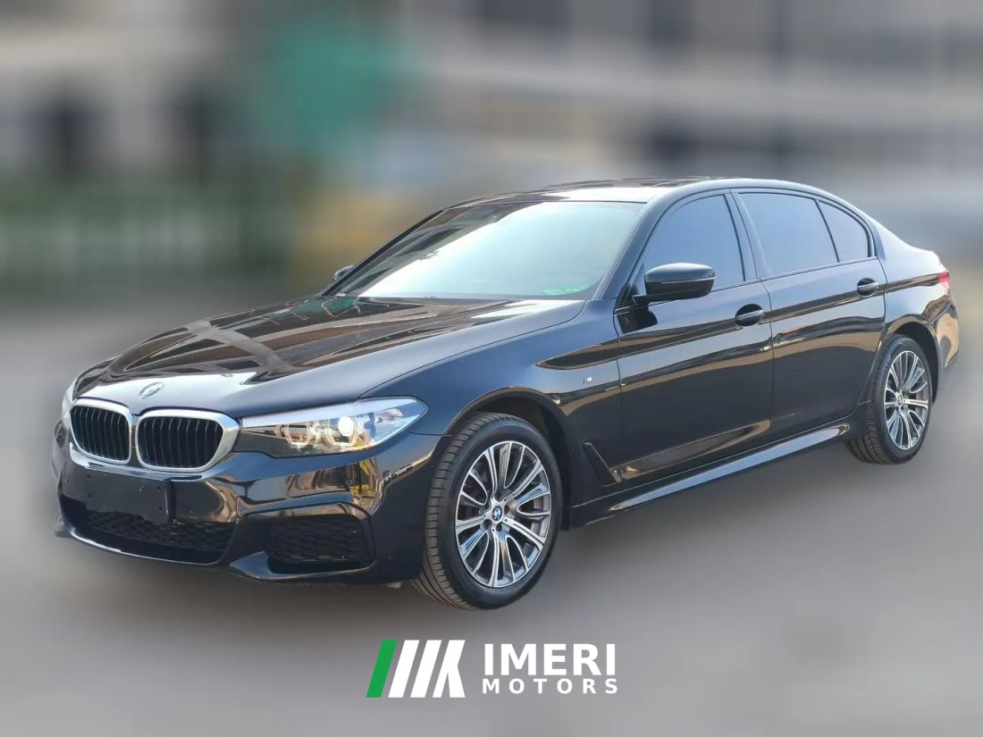 2019 BMW 5 Series 2019 2.0T AT 525Li MSport Pkg