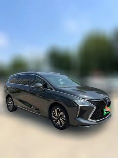 2023 Dongfeng Fengxing Fengxing Youting 2022 1.5T AT DCTChase the wavesEdition #3