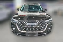 2023 Haval H6 2021 1.5T AT China tideChampion #2
