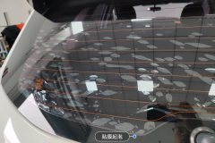 Rear Windshield