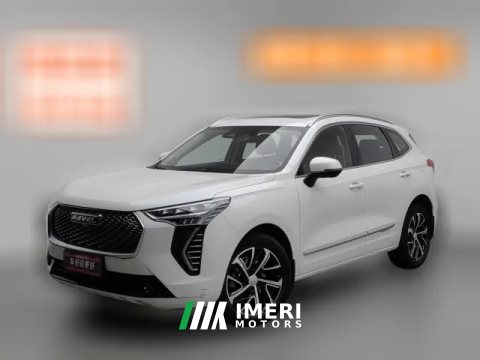 2021 Haval Chulian 2021 1.5T AT Large4Edition