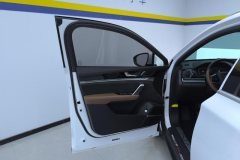 2023 BYD Tang PHEV 2021 1.5T AT DM-i 112KM Honor #7