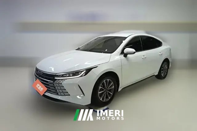 2024 BYD Destroyer 05 2023 Champion 1.5L AT DM-i 55KM Luxury