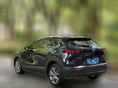 2021 Mazda CX-30 2021 2.0L AT Jiayue #4