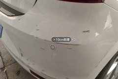 Rear Bumper