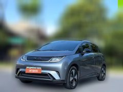 2024 BYD Dolphin 2023 420km Fashion #1