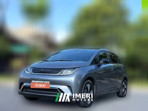 2024 BYD Dolphin 2023 420km Fashion