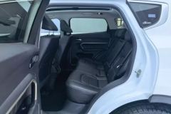 2018 Haval H6 2019 1.5T AT Blue LabelChampion #11