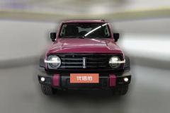 2021 Tank 300 2021 Off-road 2.0TAT conqueror #2