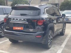 2024 Haval Big Dog Plus 2023 2.0T AT 4WDShionoPlus #5